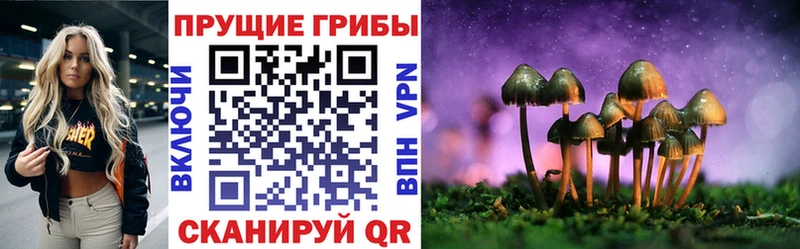 kraken вход  Адыгейск  Псилоцибиновые грибы Psilocybine cubensis 