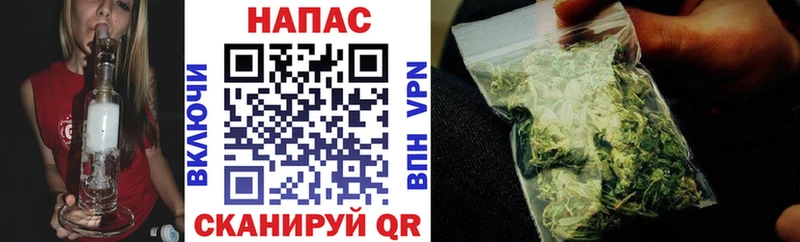 Шишки марихуана конопля  как найти   Адыгейск 